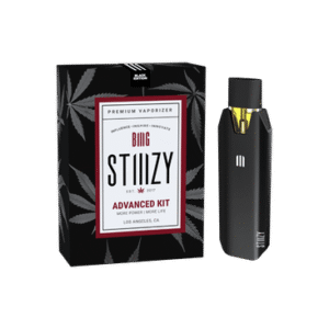 STIIIZY's BIIIG Starter Kit - Black