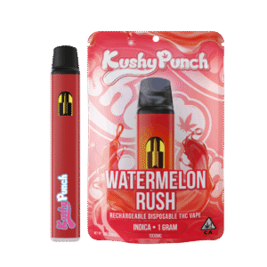 Watermelon Rush Disposable 1g